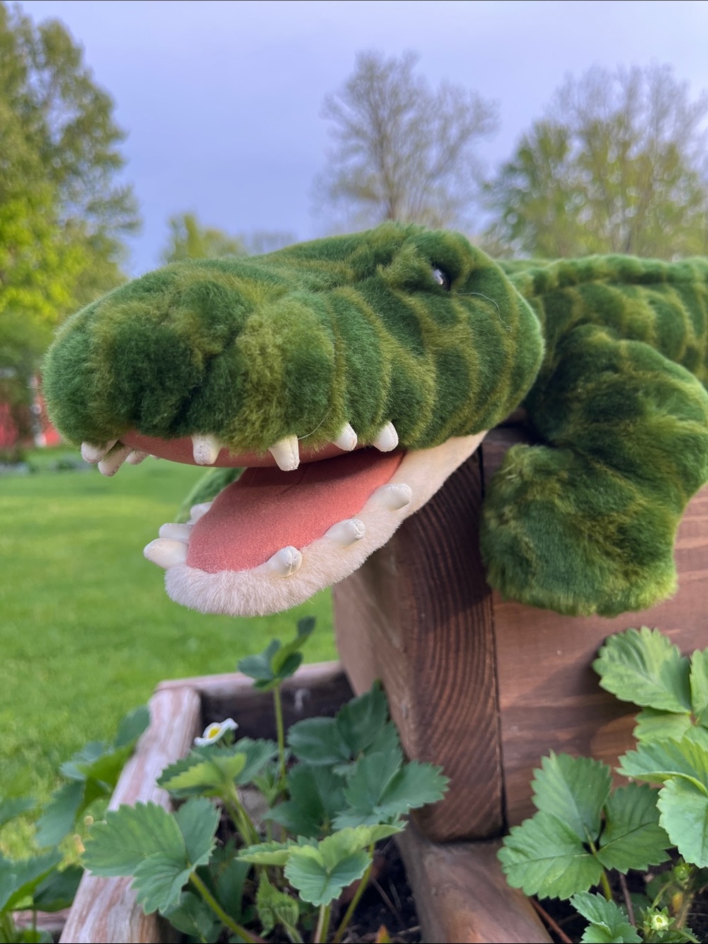 Animal Alley Stuffed Alligator